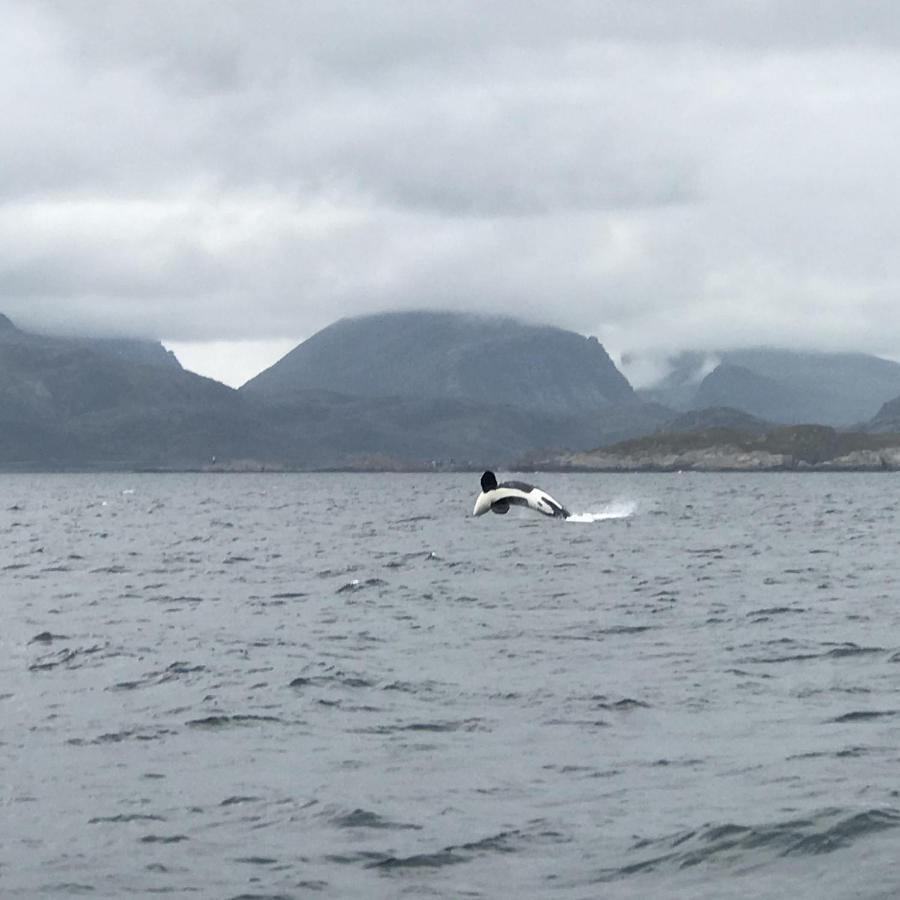 Fishermans Rorbu 2 - Lofoten Ramberg Zewnętrze zdjęcie